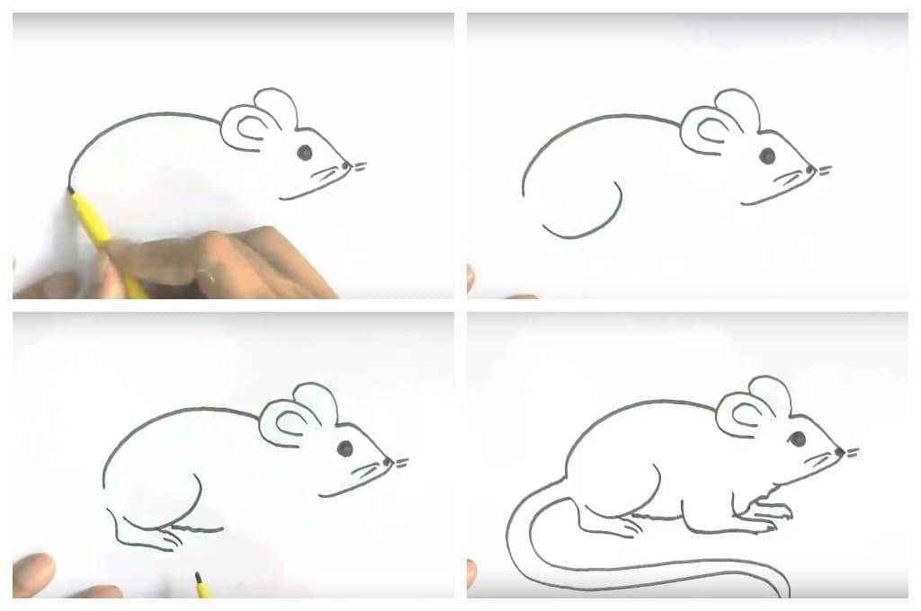 Как легко нарисовать мышку. Мышь рисунок. Мышь пошаговое рисование. Мышка рисунок карандашом. Поэтапный рисунок мышки.