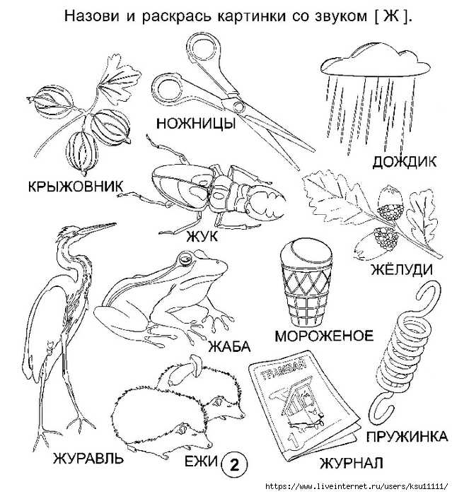 Слова на ж картинки