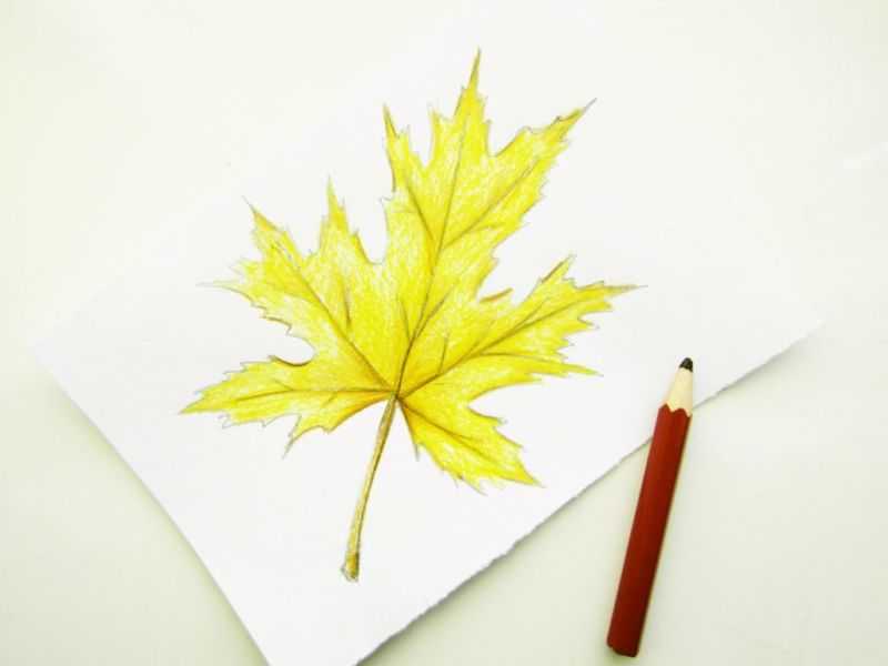 Осенний пейзаж: рисунок карандашом. осень. рисунок карандашом. мастер-класс с пошаговыми фото