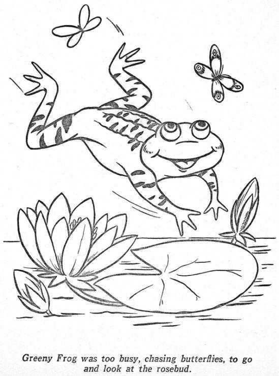 Как нарисовать лягушку реалистически