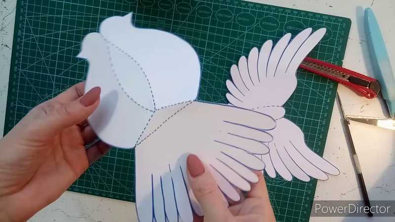 Оригами «голубь мира»: 5 поэтапных схем для детей