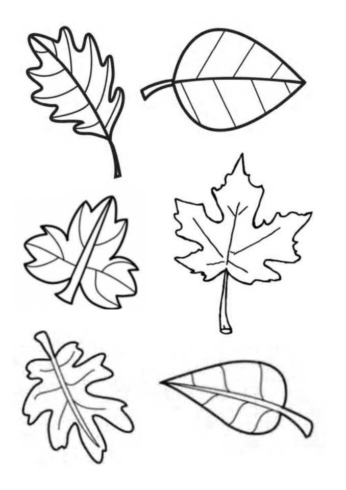 Шаблоны осенних листьев для вырезания из бумаги