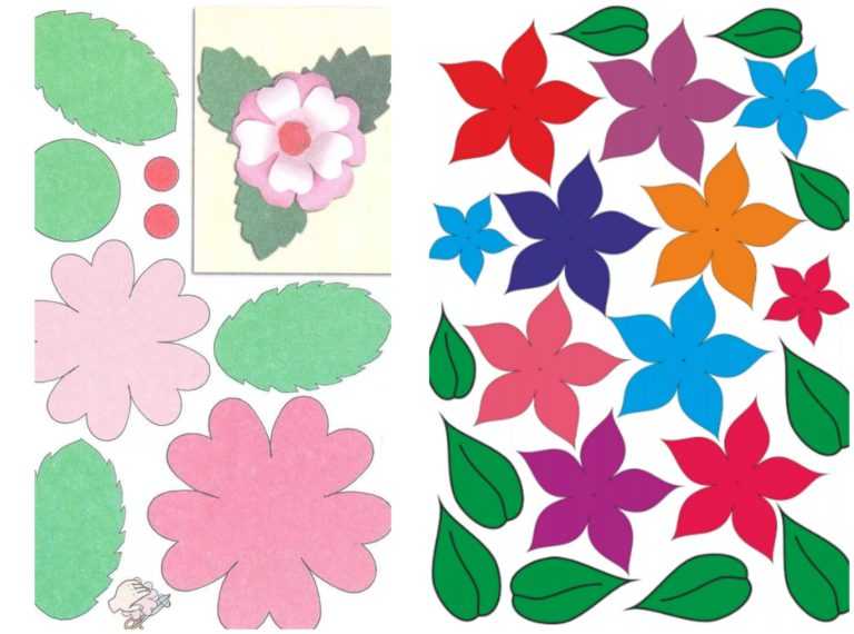 Цветы картинки для детей, карточки домана цветыamelica
