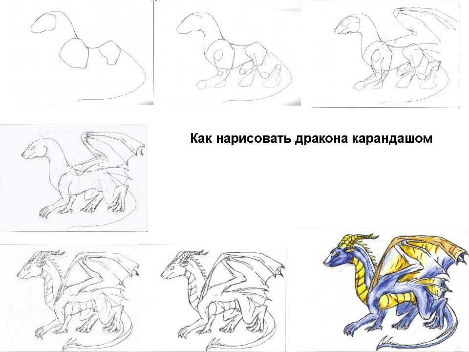 Как нарисовать дракона поэтапно карандашом, картинки и видео