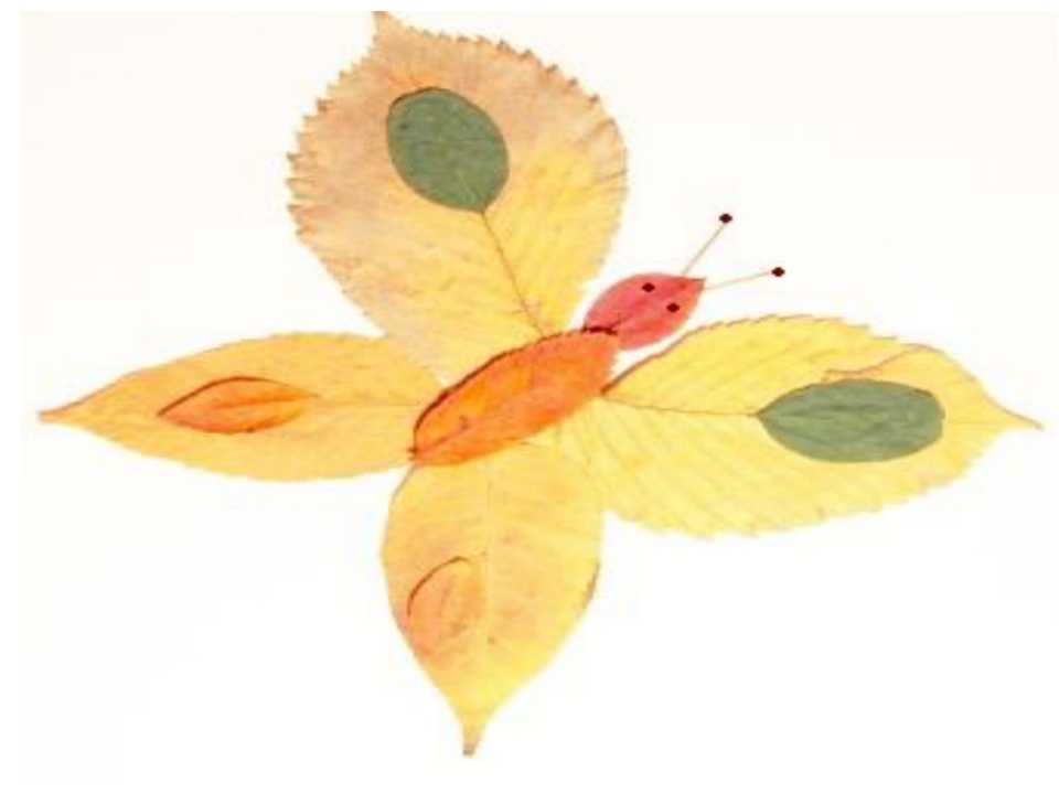 Аппликация бабочка из цветной бумаги по распечатанному шаблону: красивые трафареты для работы
