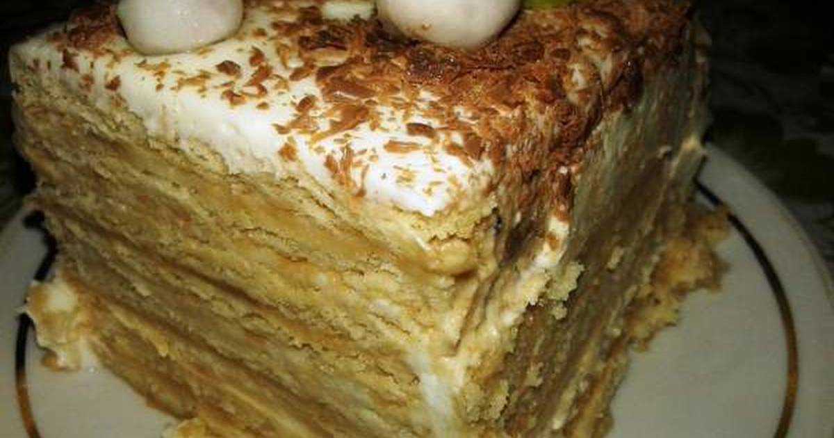 Торты без выпечки на скорую руку: рецепты с пошаговым фото