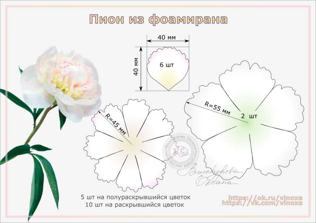 Цветы из фоамирана: мастер-класс для начинающих с пошаговыми фото