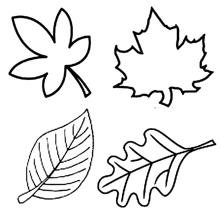Осенние листья из бумаги: шаблоны, трафареты, идеи