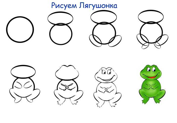 Как нарисовать лягушку просто