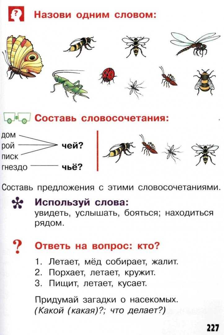 Рассказы о насекомых для дошкольников