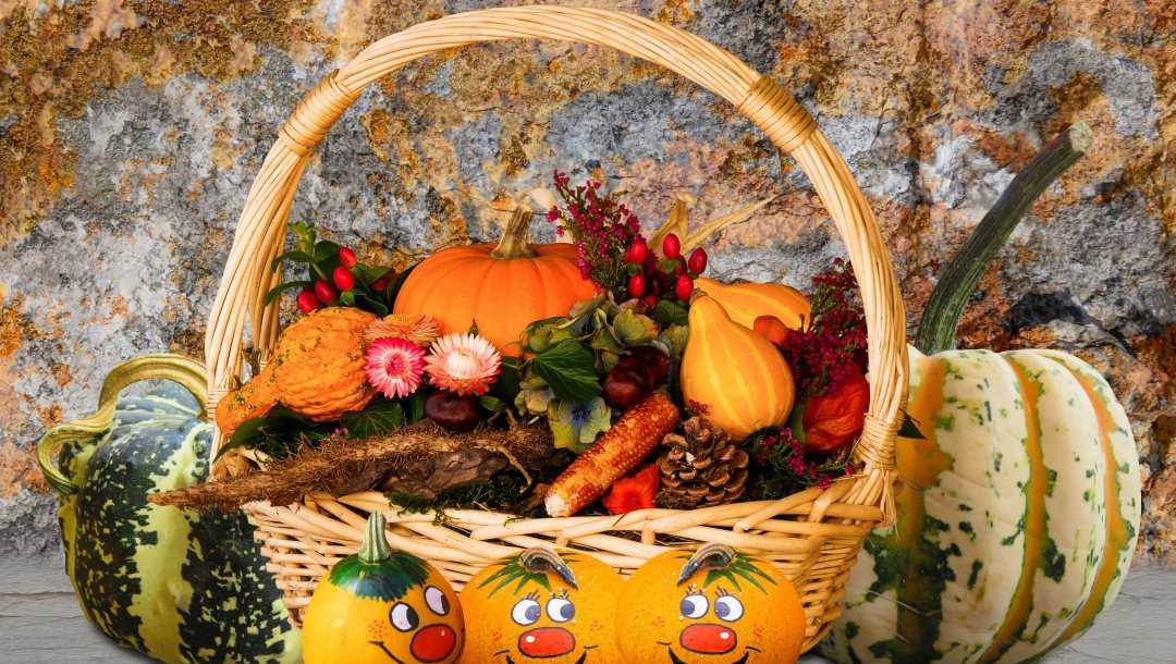 Осенние поделки из тыквы своими руками: 12 красивых и оригинальных поделок из тыквы для детского сада и школы