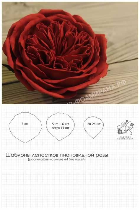 Мастер-класс по созданию нежной розы из фоамирана: подготовительные работы, процесс изготовления