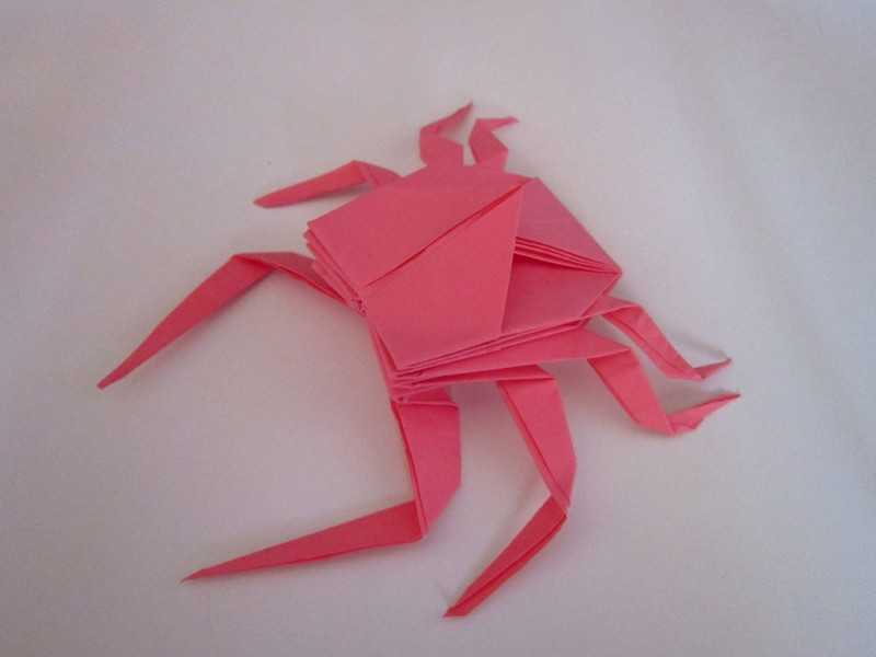 Мастер-класс по сборке краба-оригами из бумаги