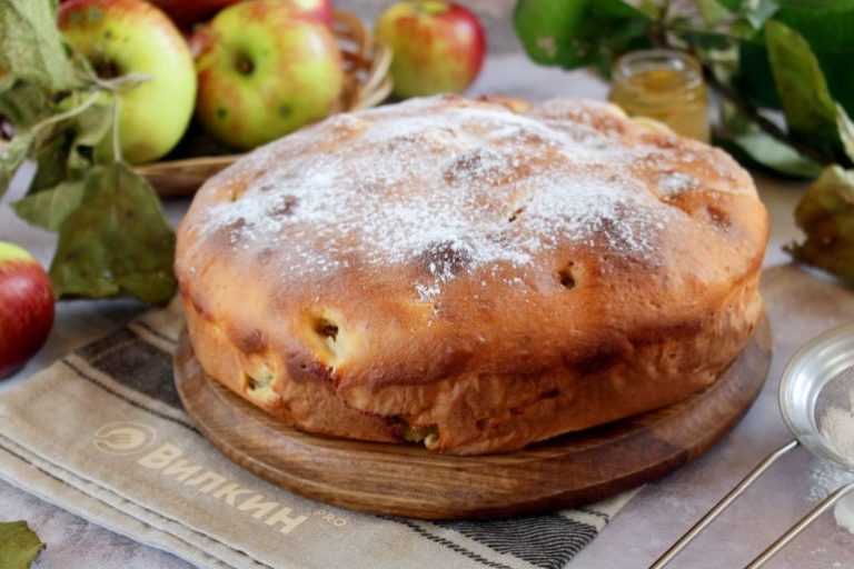 Шарлотка с яблоками – 9 самых вкусных рецептов в духовке